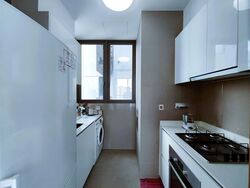 Skyline Residences (D4), Condominium #539316541